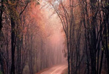 格拉夫夏普对阵马斯特里赫特，这场比赛的比分会如何？