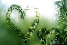 篮球比赛直播视频该怎么选？不同平台体验差在哪？