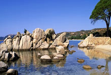 彩金值得购买吗？